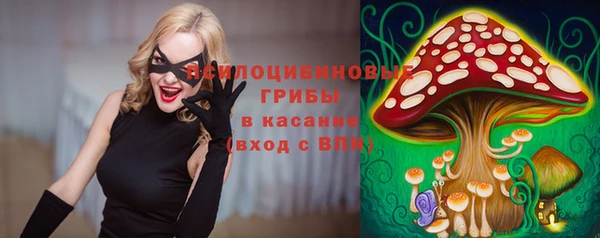 хмурый Белокуриха