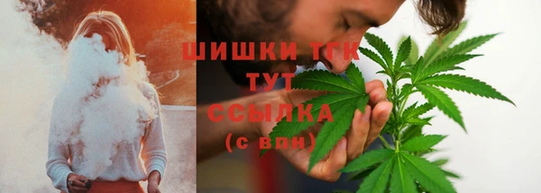 гидра Белоозёрский