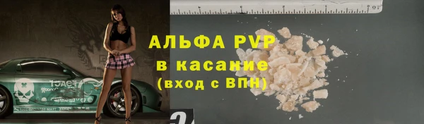 хмурый Белокуриха