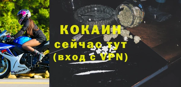 гидра Белоозёрский