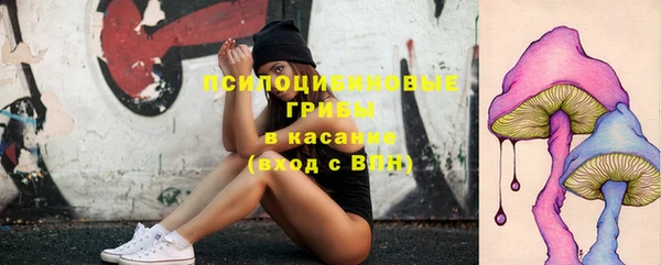 молекула духа Ростов
