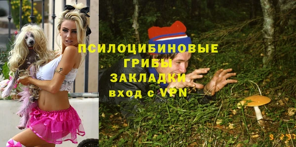 хмурый Белокуриха