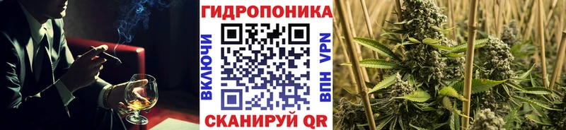 Конопля OG Kush  цены наркотик  Дмитриев 